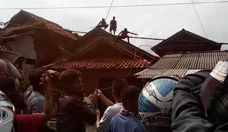 Geger! Babi di Atap Rumah Hilang Saat Dikepung Warga, Ini Videonya