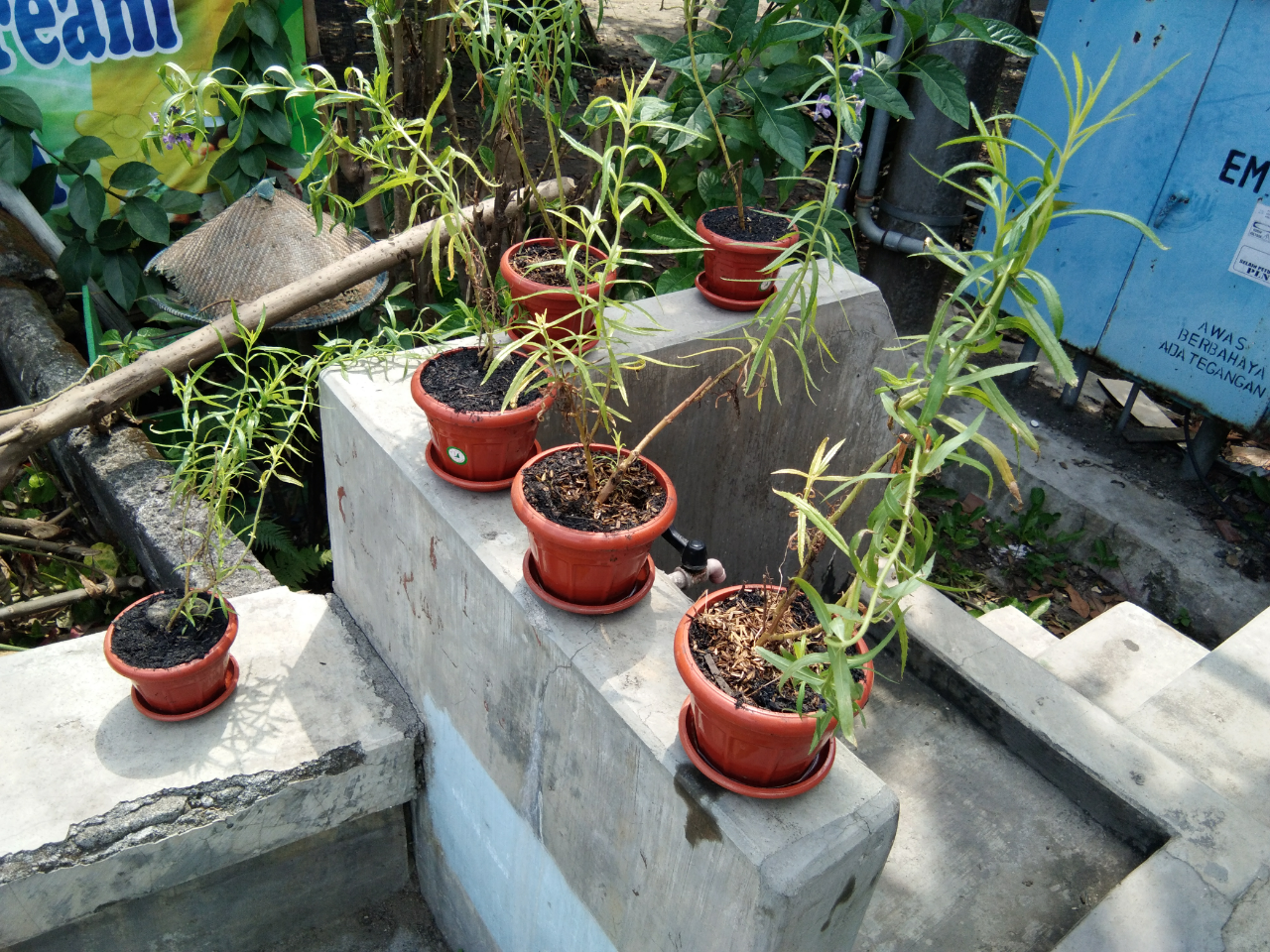 Sayangi Si Kecil, Hanya Rp. 6000 Nyamuk Pergi
