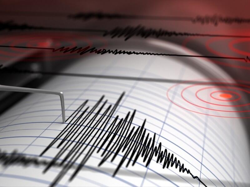 Gempa 5,4 SR Guncang Maluku Utara