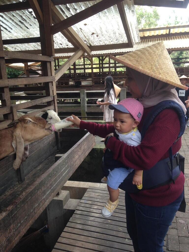 Kuntum Farmfiled - Tamasya sambil Kenalan sama Hewan