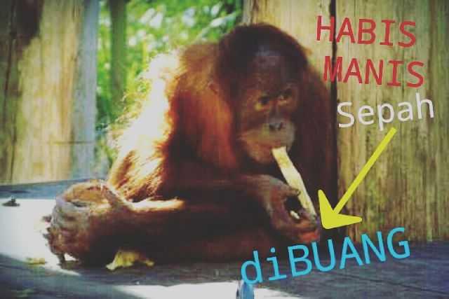 Tim Prabowo Tak Lindungi Bagus Bawana