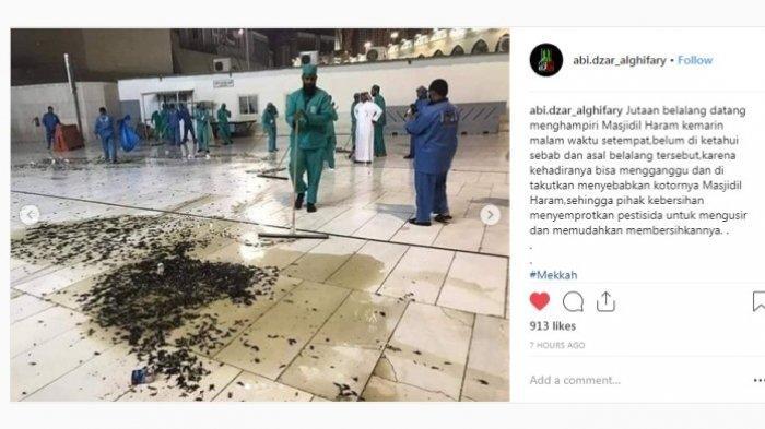 Fenomena Ribuan Belalang Hitam Penuhi Masjidil Haram Bikin Banyak Pihak Tercengang
