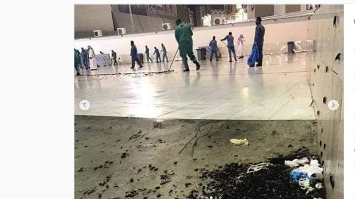 Fenomena Ribuan Belalang Hitam Penuhi Masjidil Haram Bikin Banyak Pihak Tercengang