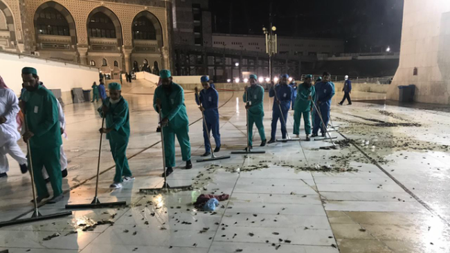 KJRI Jeddah: Jangkrik di Masjidil Haram Tak Berbahaya