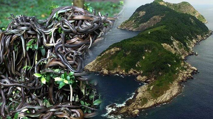 Ada Pulau mematikan didunia