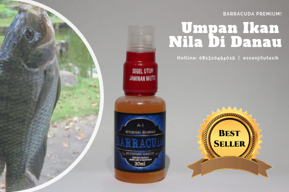 Umpan Ikan Nila Di Danau Paling Mantap Anti ZONK!!