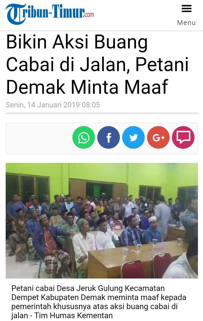 Bikin Aksi Buang Cabai di Jalan, Petani Demak Minta Maaf