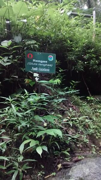 Trip to Curug Putri, Mata Air Dewi di Kaki Gunung Ciremai