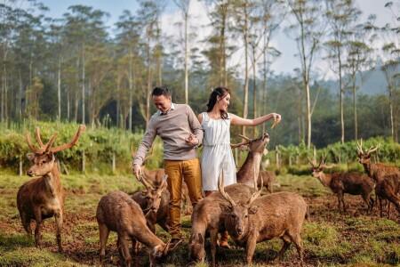 Tips Foto Prewedding Tema Konsep Casual
