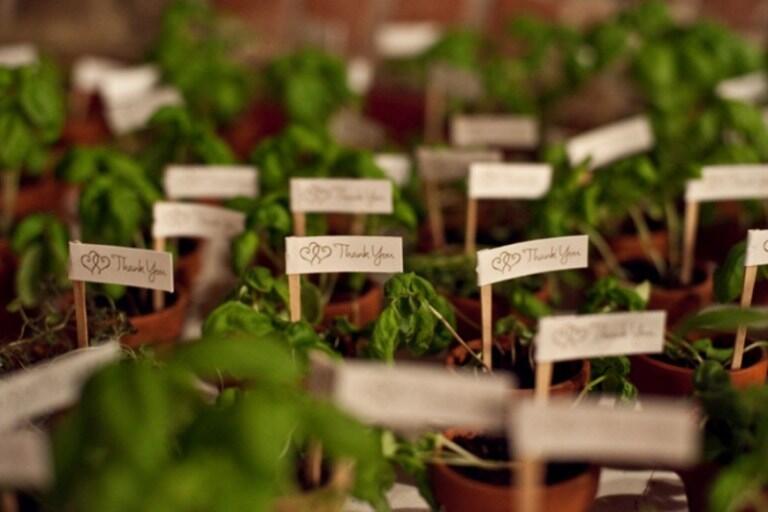 Inspirasi Souvenir Pernikahan Unik dan Menarik