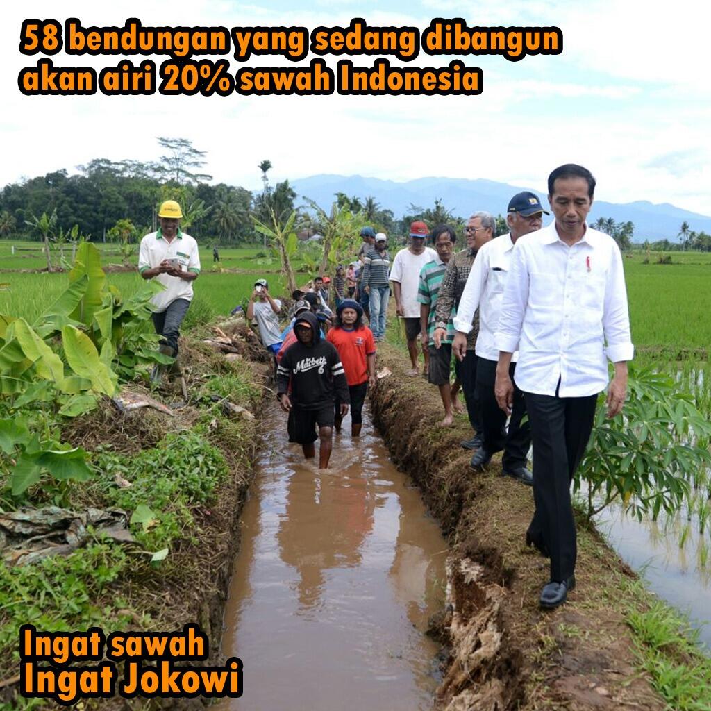 Jokowi: Baru 11 Persen Sawah Terima Air dari Bendungan