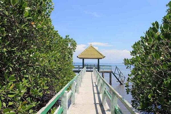 Salah Satu Keindahan Pantai di Jawa Timur, Menyangingi Pantai milik Amerika Serikat.