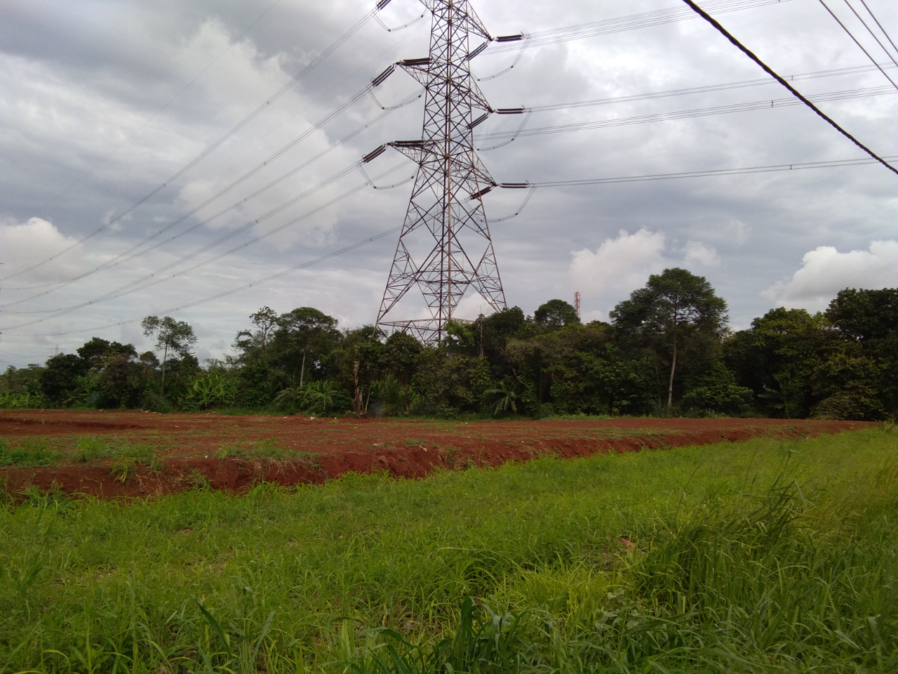 Dilema Ketika Hutan Berganti Dengan Beton !!