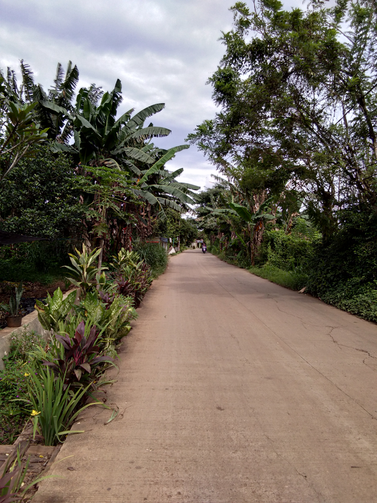 Dilema Ketika Hutan Berganti Dengan Beton !!