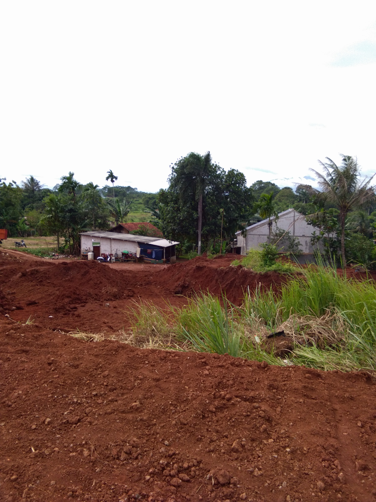 Dilema Ketika Hutan Berganti Dengan Beton !!