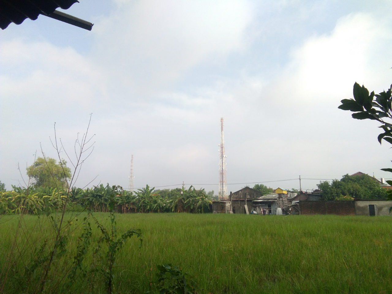 Kalau Lihat Sawah, Kok Jadi Teringat Masa Kecil?