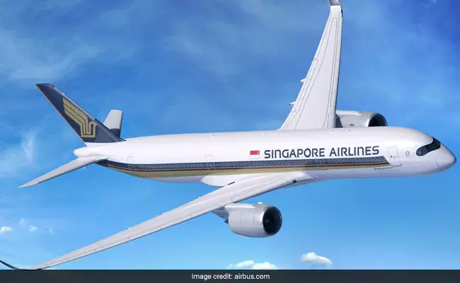 Ada Burung Yang Lepas Dalam Pesawat Singapore Airlines