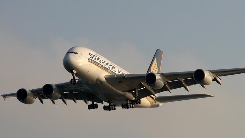 Ada Burung Yang Lepas Dalam Pesawat Singapore Airlines
