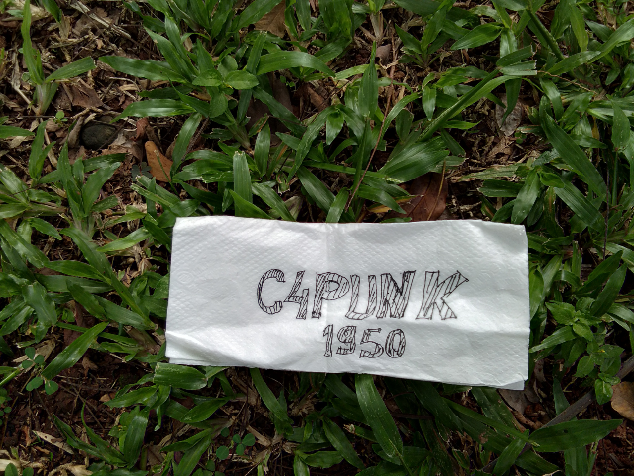 3 jenis rumput yang ada di lingkungan ane nih gan !!