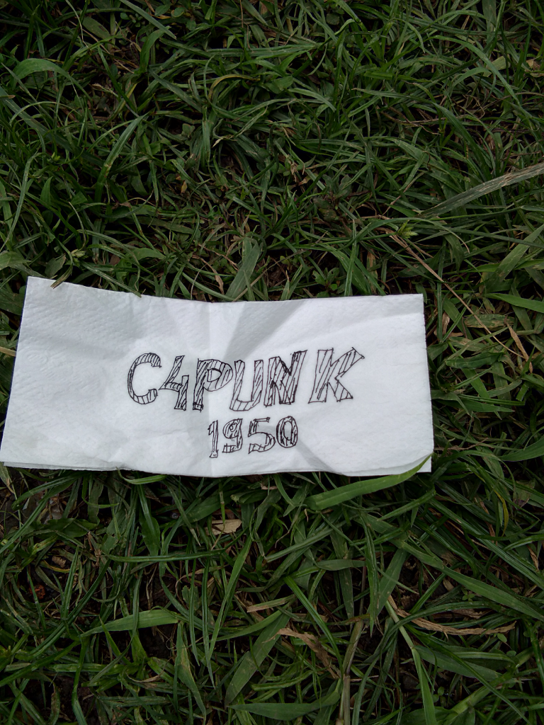 3 jenis rumput yang ada di lingkungan ane nih gan !!