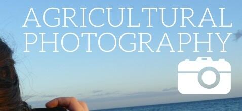 Agricultural Photography, Seni Fotografi tentang Dunia Pertanian