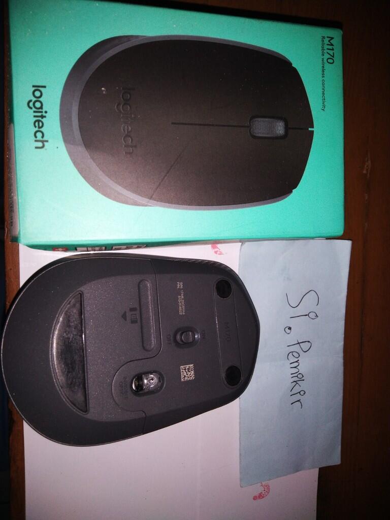 Review Mouse Logitech M170