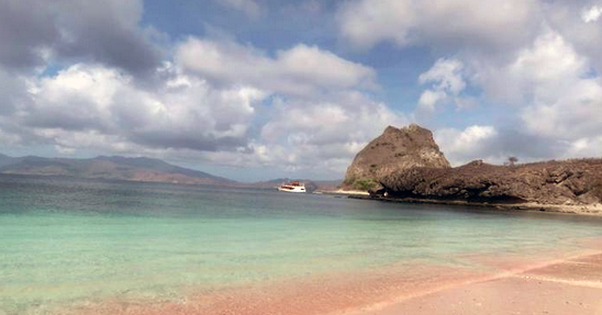 Pulau Padar yang Begitu Segar