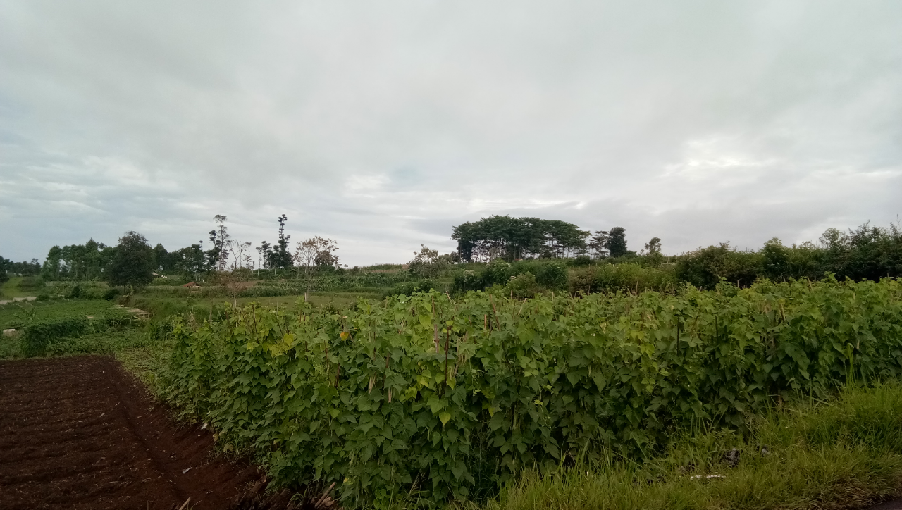 Ironi Petani Di Tanah Agraris