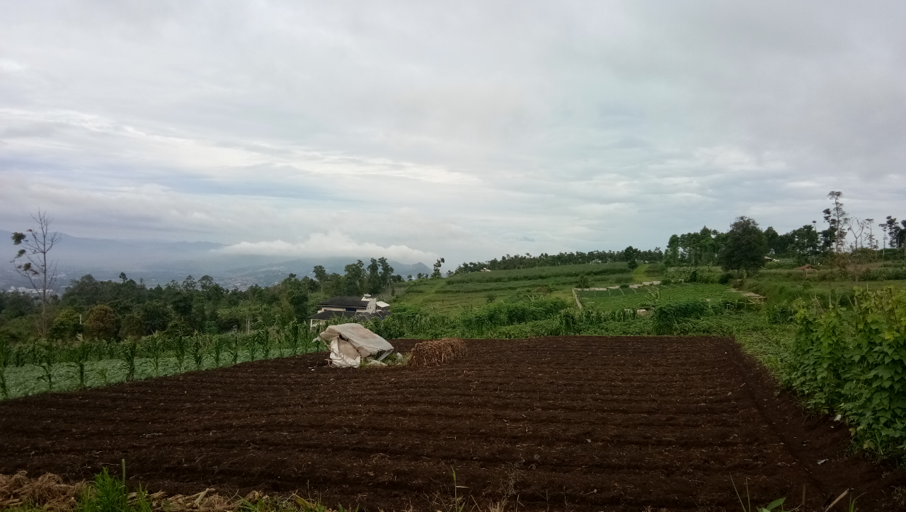 Ironi Petani Di Tanah Agraris