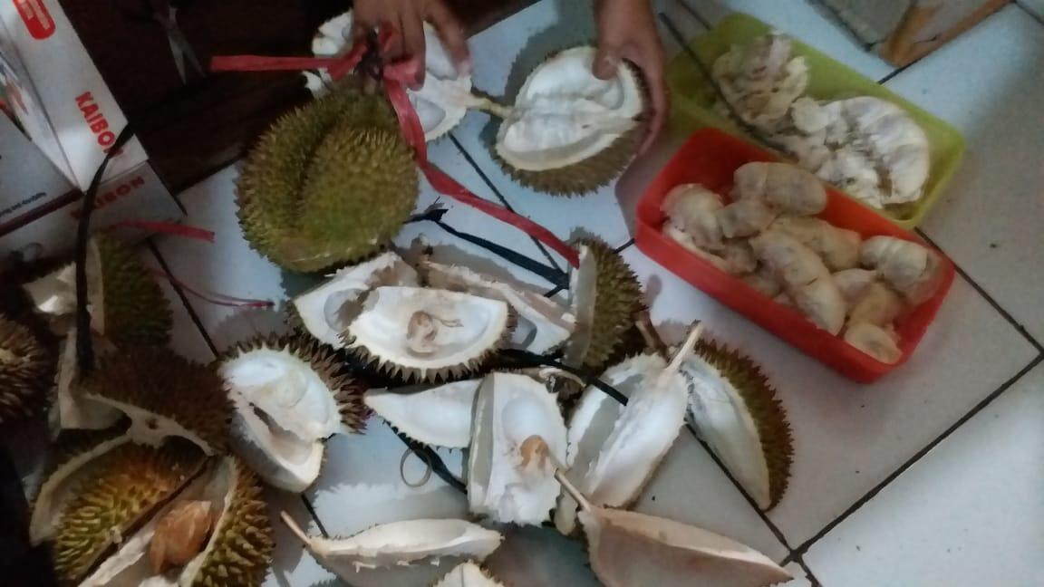 Naik Turunnya Harga Buah Kenapa Ya ?