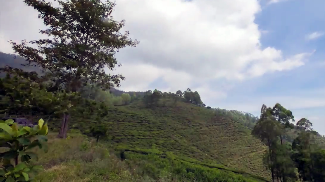 Kalau Lewat Ngawi, Jangan Lupa Mampir Kemari ..