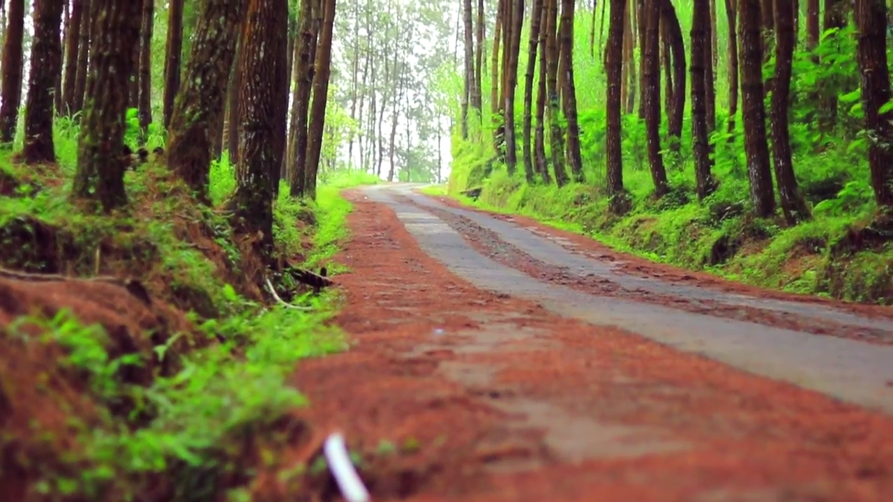Wisata Pedesaan Kragilan Magelang, Adem Gan!