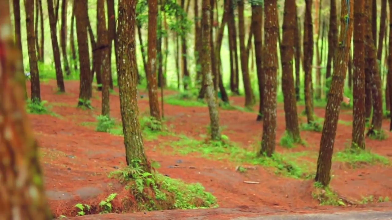 Wisata Pedesaan Kragilan Magelang, Adem Gan!