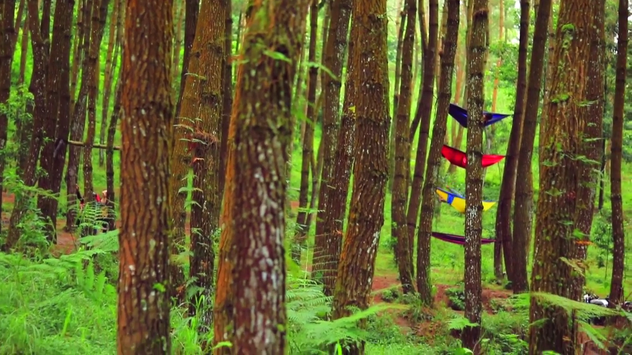 Wisata Pedesaan Kragilan Magelang, Adem Gan!