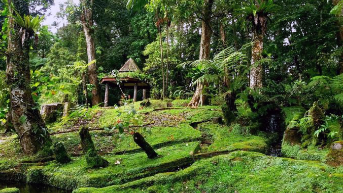 Piknik ke Kebun Raya Cibodas, Seru Loh!