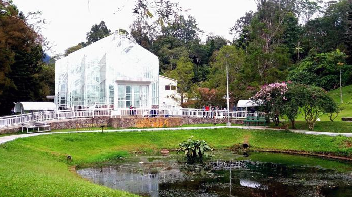 Piknik ke Kebun Raya Cibodas, Seru Loh!