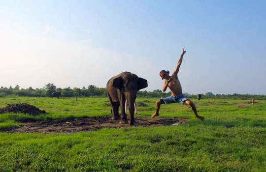 Lucunya Gajah-Gajah di Taman Nasional Way Kambas