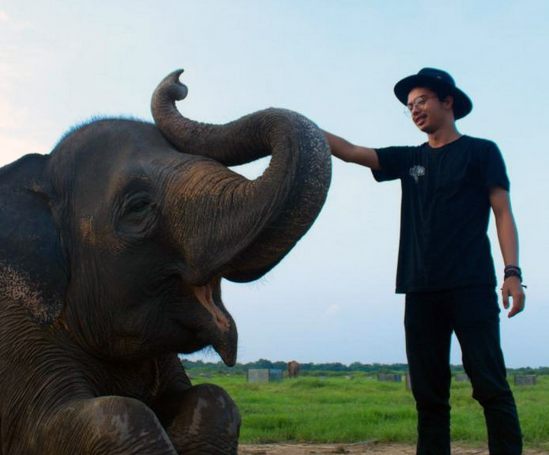 Lucunya Gajah-Gajah di Taman Nasional Way Kambas