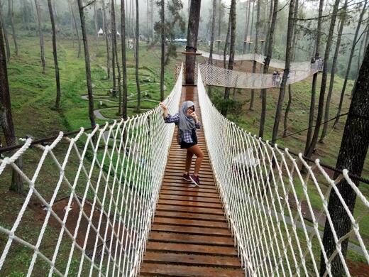 Orchid Forest Cikole, Wisata Alam Kekinian Di Bandung