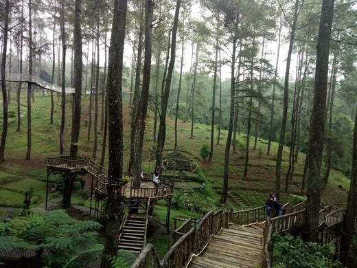 Orchid Forest Cikole, Wisata Alam Kekinian Di Bandung