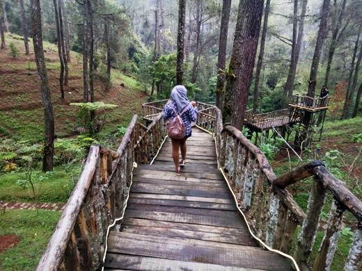 Orchid Forest Cikole, Wisata Alam Kekinian Di Bandung