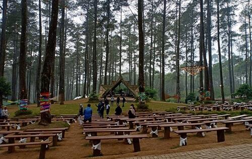 Orchid Forest Cikole, Wisata Alam Kekinian Di Bandung