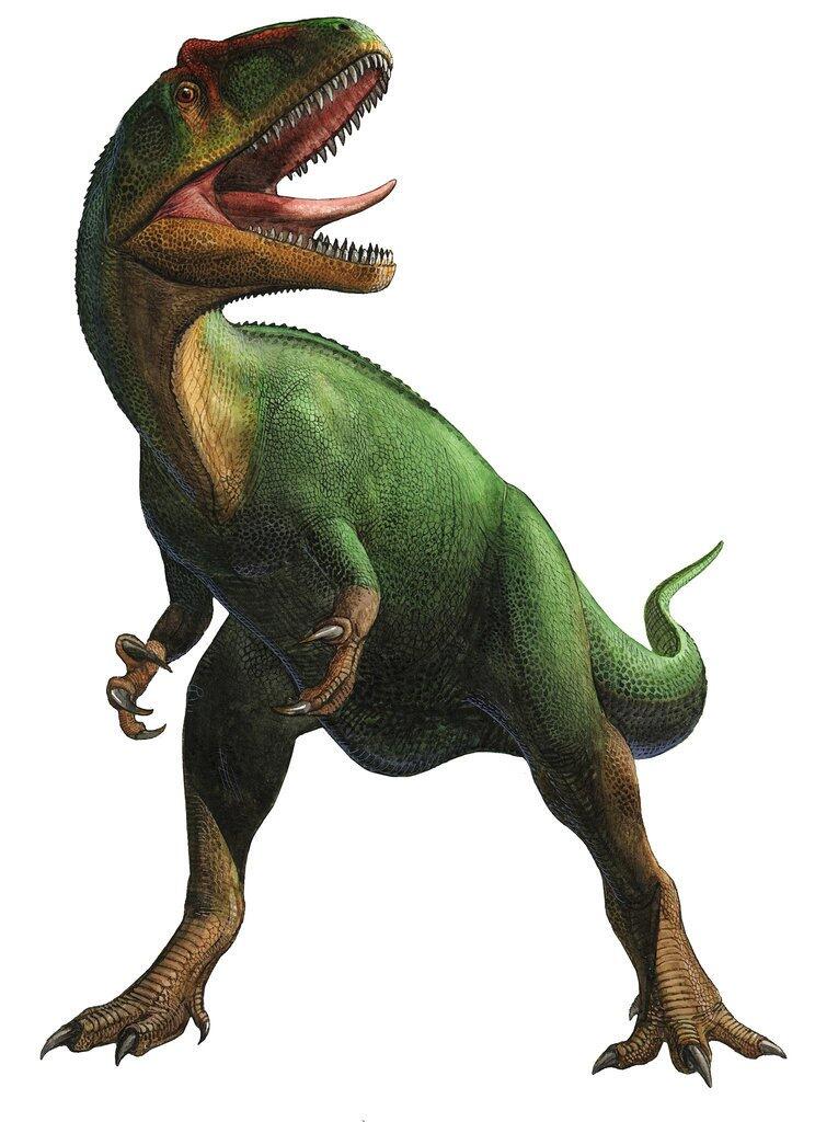 Заурофаганакс. Заурофаганакс динозавр. Заурофаганакс Максимус. Заурофаганакс Планета динозавров.