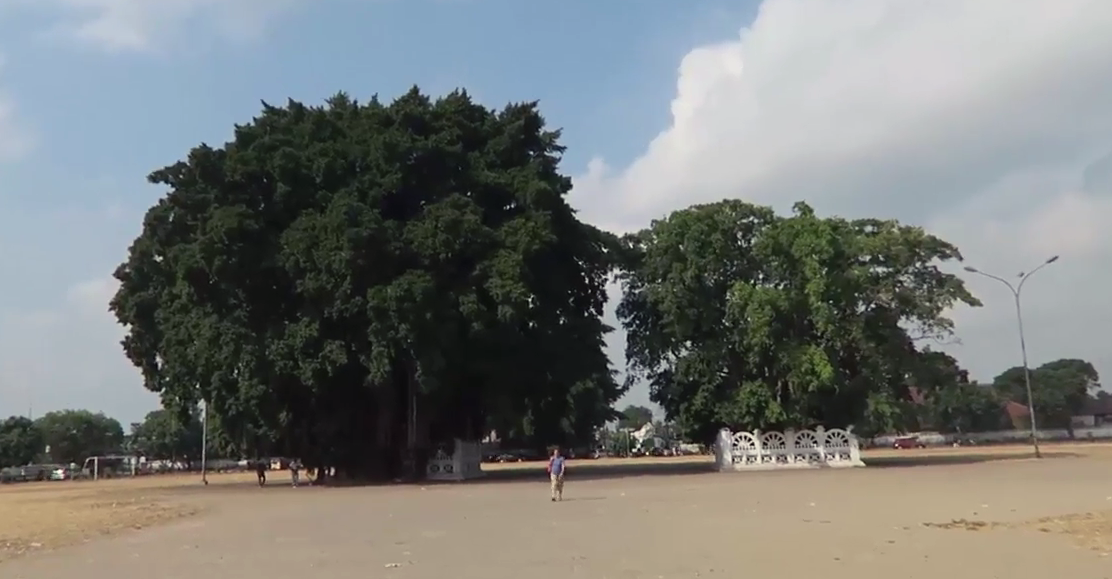 Jogja dan Misteri Beringin Kembar Alun-Alun Selatan