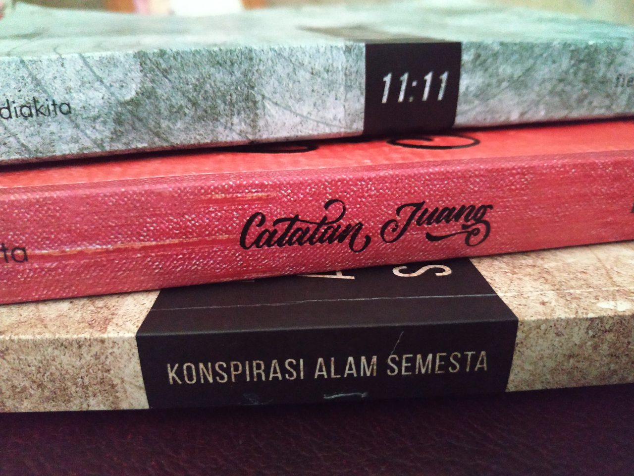 Ane & Fiersa Besari : Dari Tidak Kenal Menjadi Penggemar