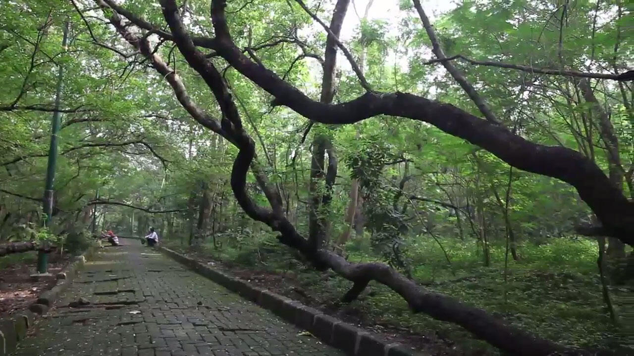 Pertama Kali Ke &quot;Hutan Kota Srengseng&quot; di Jakarta