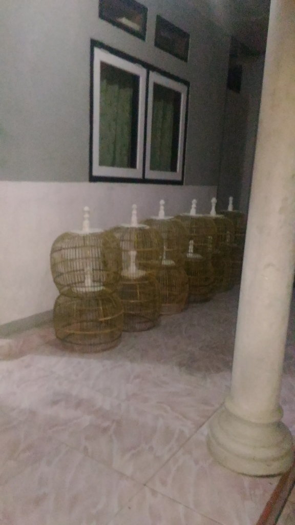 Sangkar Burung Yang Bisa Membawaku Sampai Sarjana