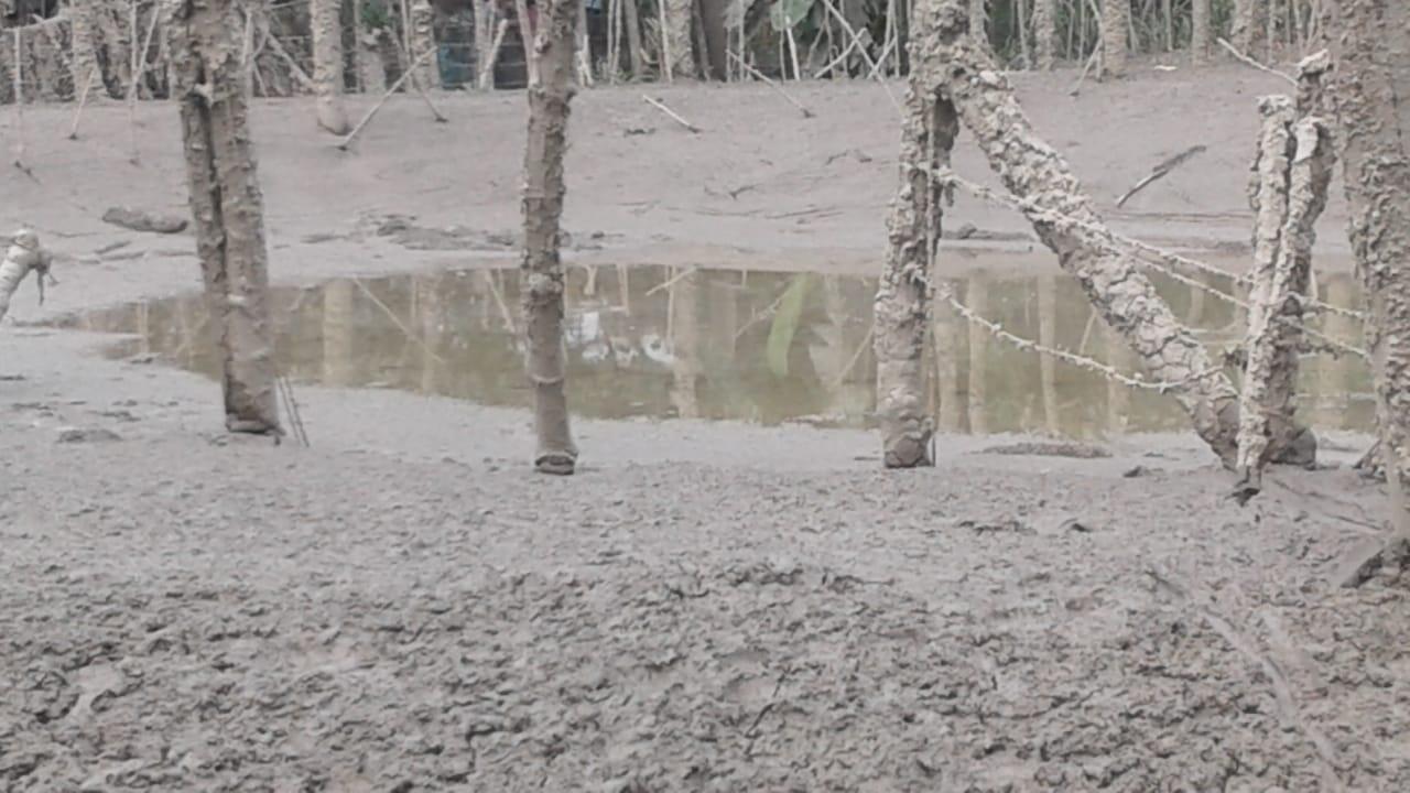 Hal Yang Aneh Yang Terjadi Baru Baru Ini Di Aceh