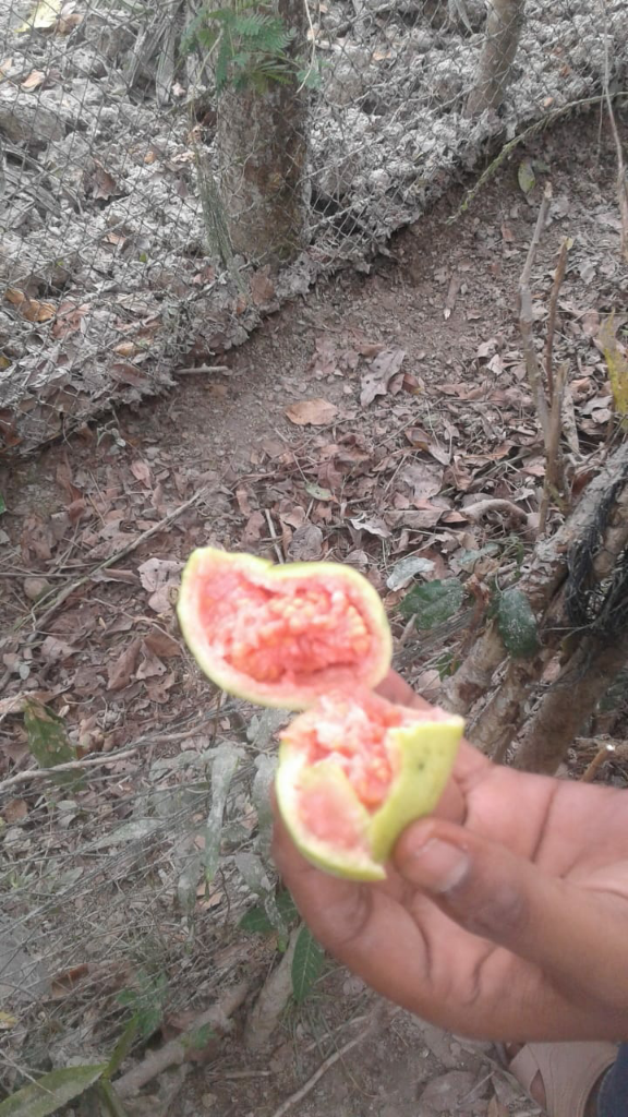 Hal Yang Aneh Yang Terjadi Baru Baru Ini Di Aceh
