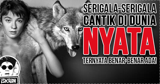 Ternyata Serigala Cantik Dan Seksi Itu Benar Adanya, Ini Info Dan Videonya, Gan!